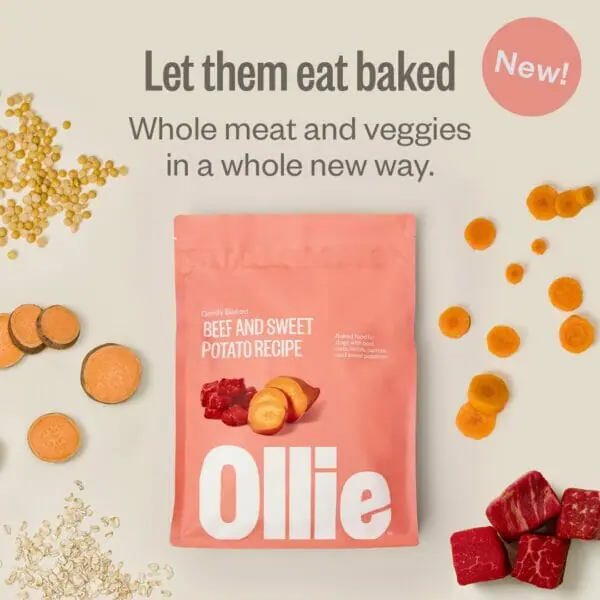 Ollie Baked Dry Dog Food Subscription For Dogs Review, 43 OFF