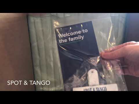 Spot &amp; Tango Unboxing by MealFinds