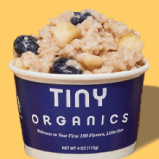 tiny organics oatmeal blueberry kids