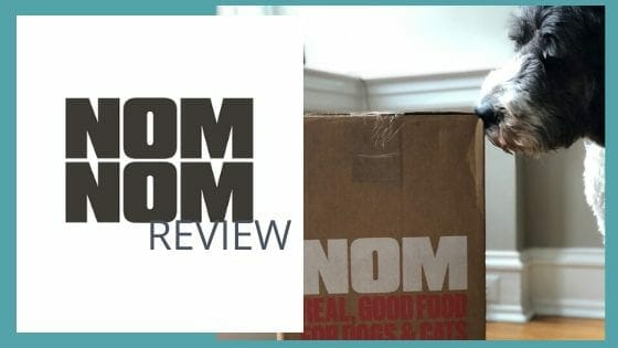 dog sniffing dog food box-nom nom reviews-mealfinds