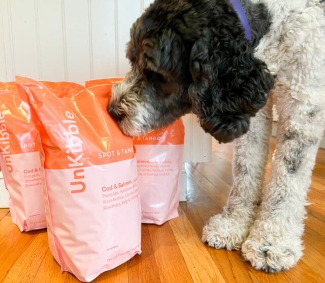 daisy smelling cod unkibble dog food-spot and tango dog food reviews-mealfinds