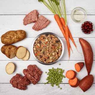 just food for dogs shepards pie-dog food delivery-mealfinds
