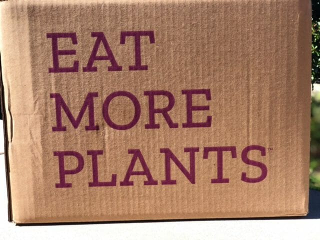 eat more plant purple carrot box-purple carrot vegan meal reviews-mealfinds