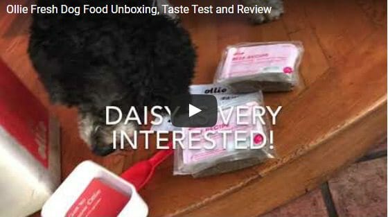 ollie fresh dog food unboxing video-ollie dog food reviews-mealfinds