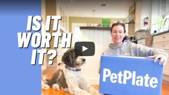 PetPlate Unboxing Video YouTube-PetPlate Reviews-Mealfinds