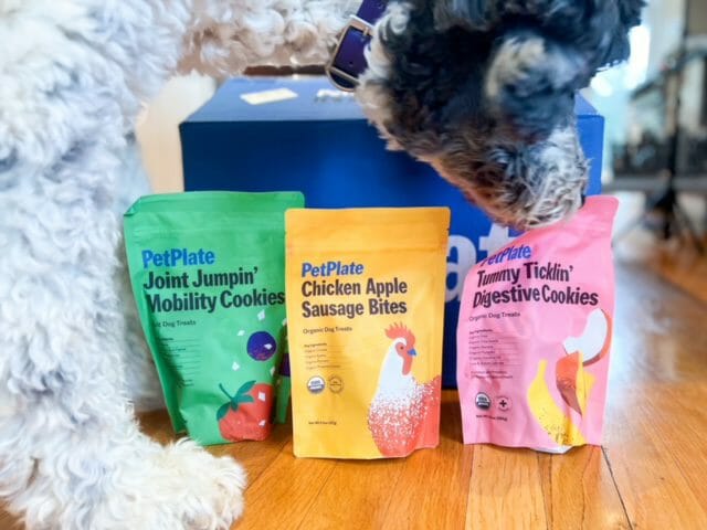 daisy sniffing treats and supplements-petplate review-mealfinds
