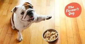 The-Farmer's-Dog-Fresh-Dog-Food