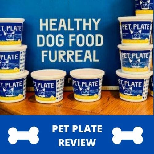 Pet Plate Review MealFinds