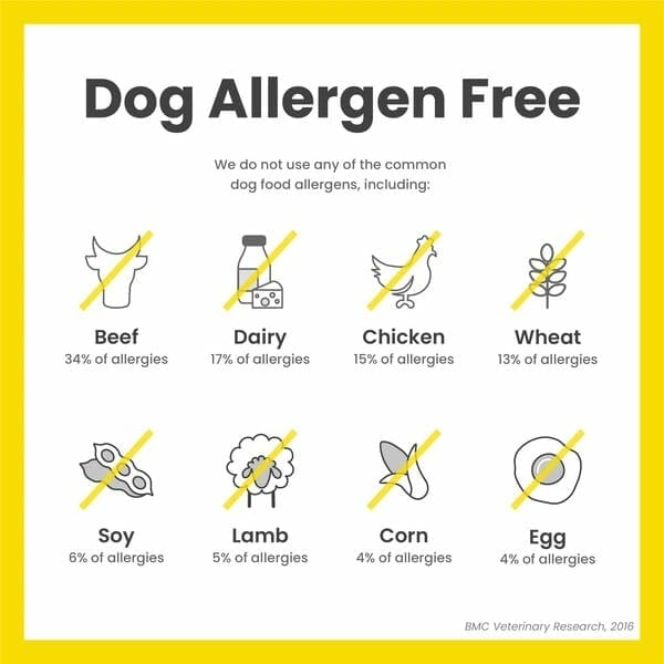 chippin-dog-allergy-free