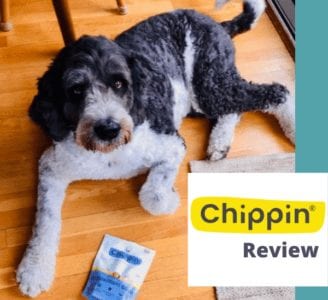 chippin-review