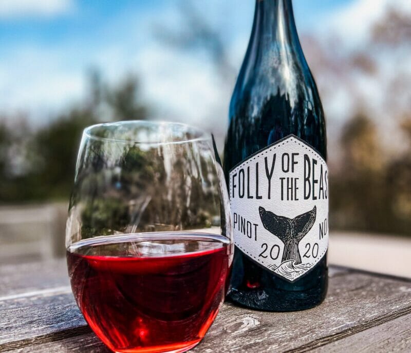 folly of the beast bottle and glass-winc wine reviews-mealfinds