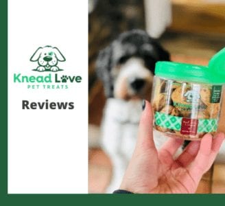 knead-love-bakeshop-reviews