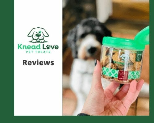 knead-love-bakeshop-reviews