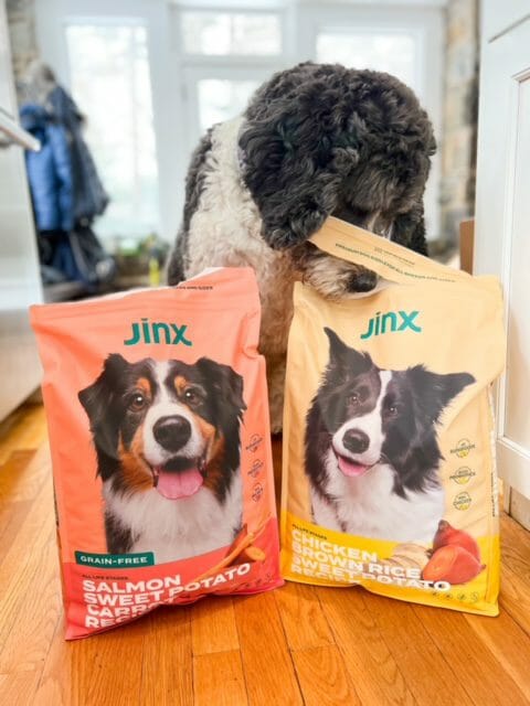 jinx grain free salmon and organic chicken kibble-jinx dog food reviews-mealfinds