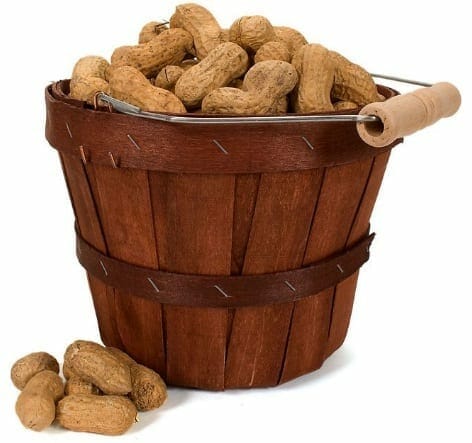 nuts.com-bucket-of-peanuts