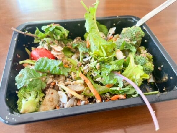 coconut kale salad-sprinly vegan meals review-mealfinds