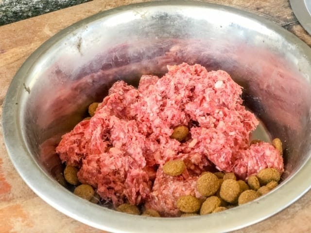 raw-paws-raw-dog-food-bowl