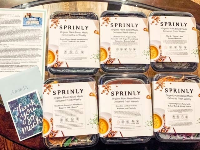 sprinly-reviews-organic-plant-based-prepared-meals-delivery