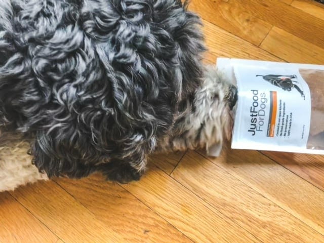dog eating pumpkin treats out of bag-just food for dogs reviews-mealfinds