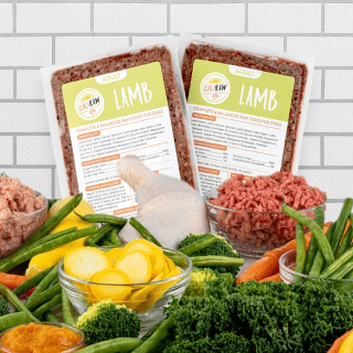 lamb raw dog food cali raw-dog food delivery-mealfinds