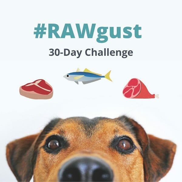 rawgust 30 day challenge - mealfinds