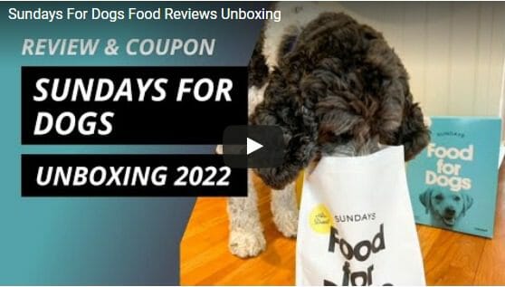 Sundays For Dogs Unboxing Video-Sundays For Dogs Reviews-MealFinds