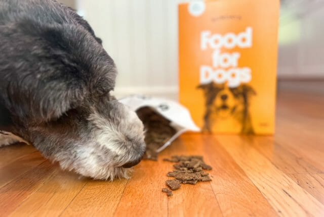 sundays new turkey dog food-sundays for dogs reviews-mealfinds