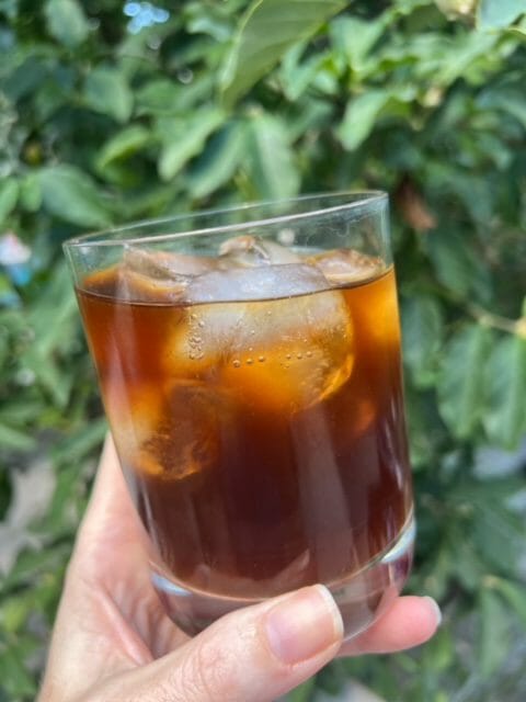 organic cold brew coffee in mug-fresh roasted coffee review-mealfinds