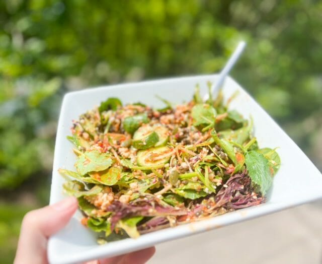 thistle leafy green salad with goji in bowl-thistle meal delivery review-mealfinds